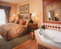 Sheraton Vistana Village